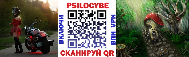 Псилоцибиновые грибы Psilocybe Камышин