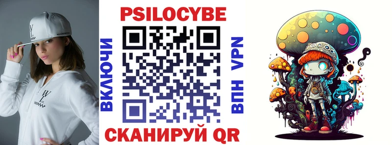 Псилоцибиновые грибы Psilocybe  купить  цена  Камышин 