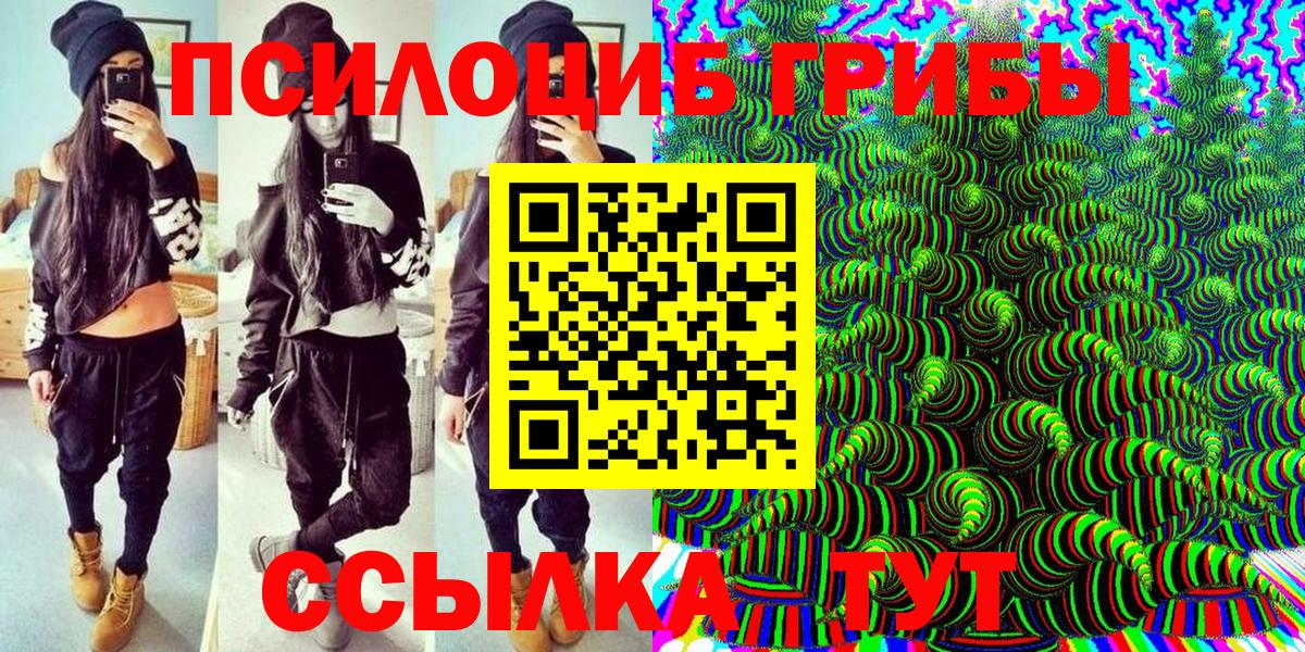 Псилоцибиновые грибы ЛСД Камышин