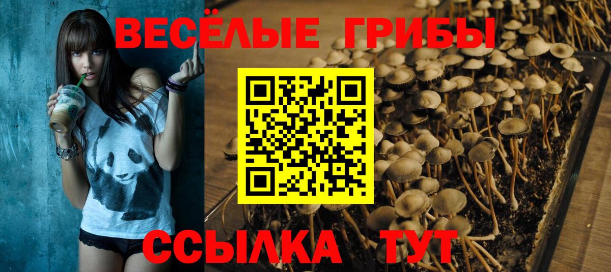 Псилоцибиновые грибы GOLDEN TEACHER Камышин