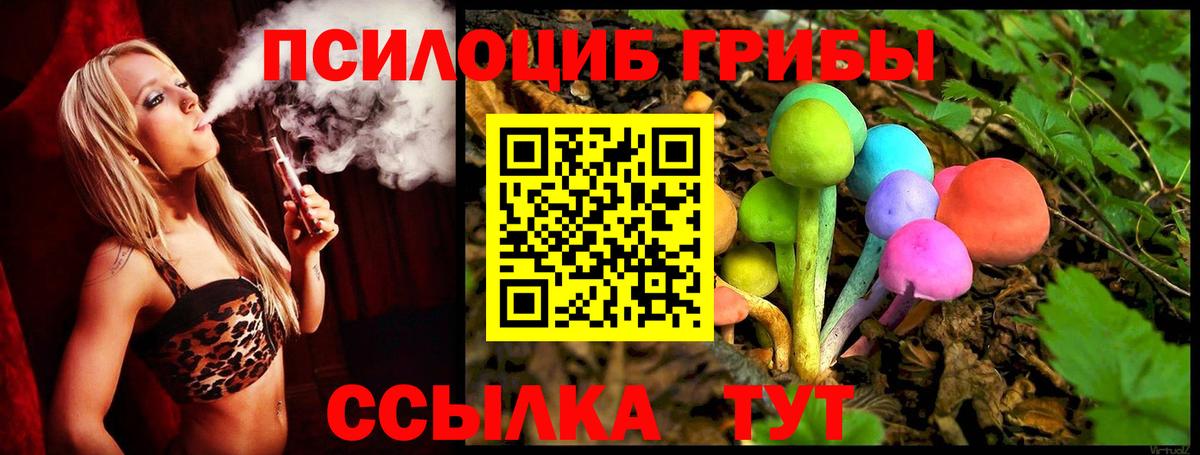 магазин  наркотиков  Камышин  Псилоцибиновые грибы MAGIC MUSHROOMS 