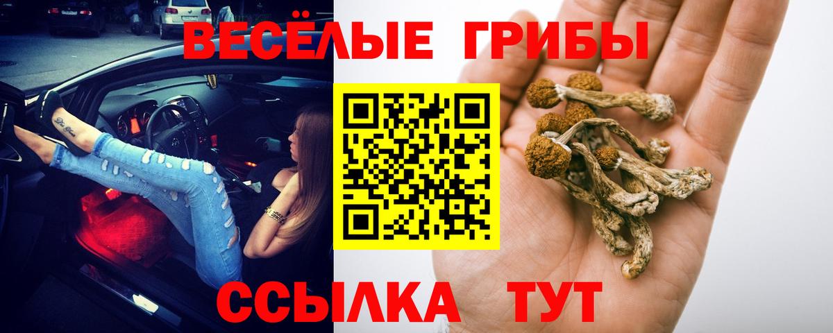 Кокаин  A-PVP  Конопля  Мяу-Мяу  MDMA  Камышин  МАРИХУАНА  Вход с VPN  Ляпка 