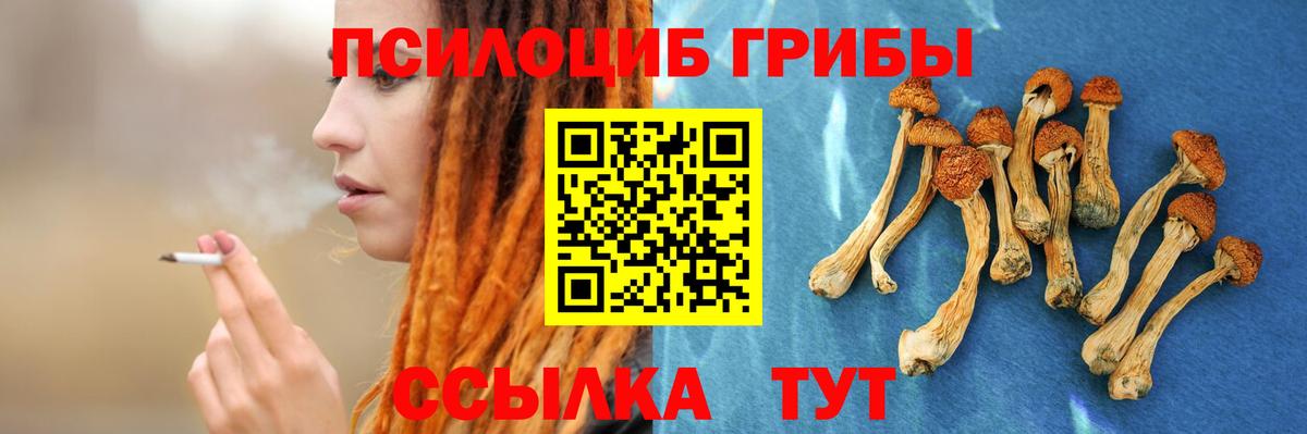 Камышин  Галлюциногенные грибы прущие грибы  Вход с VPN 