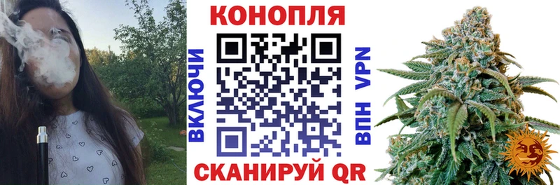 Канабис OG Kush  Камышин 