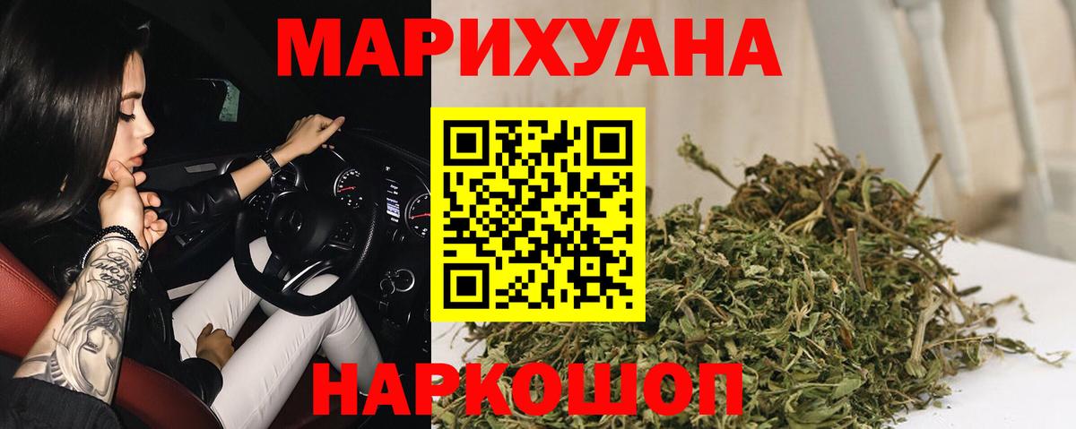 Бошки марихуана планчик  Камышин  Каннабис семена 